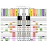 STM32F407 ARM Cortex-M4 STM32 plokštė