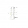 OMG-V2 ekstruderio direct-drive perėjimas