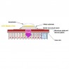 10W 220V AC LED modulis