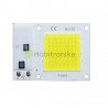 10W 220V AC LED modulis